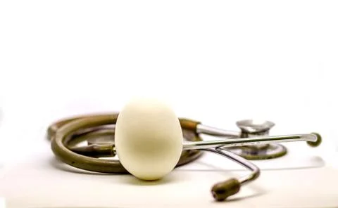 Standing single egg and stethoscope isolated in white background as doctor re Stock Photos