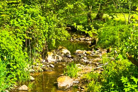 Standing small Bavarian river in spring at sunshine Stock Photos