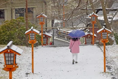 Standing on snow Stock Photos
