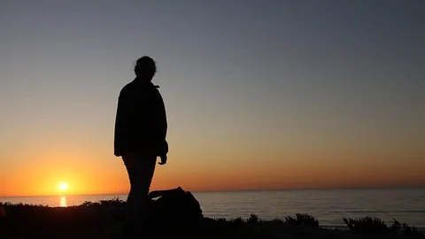 Standing still on hillside Stock Footage 123200718