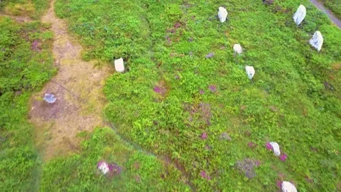 Standing stones of Carnac in Brittany Stock-Footage 246970890