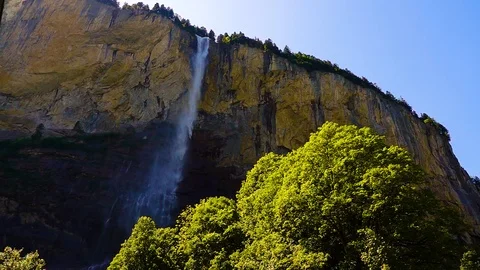 Standing tree on a background of a waterfall. Switzerland Stock Footage 113451184