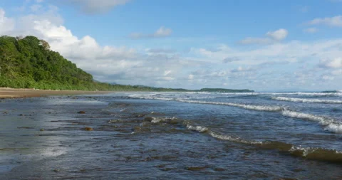 Standing In Tropical Ocean Waves Next To Lush Rainforest Coastline And Blue Sky Stock-Footage 137984448