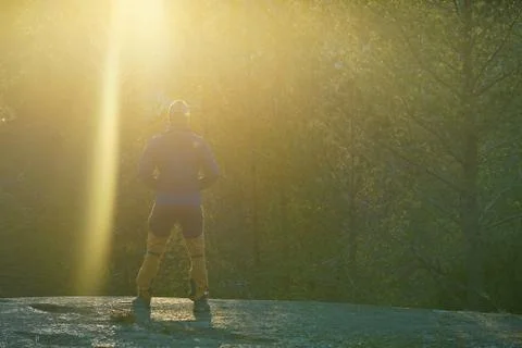 Standing under sun light in forest. Stock Photos