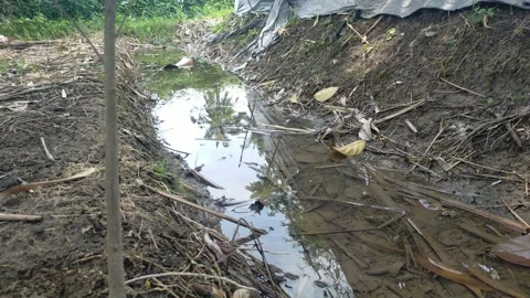 Standing water on the ground Video stock 291409014