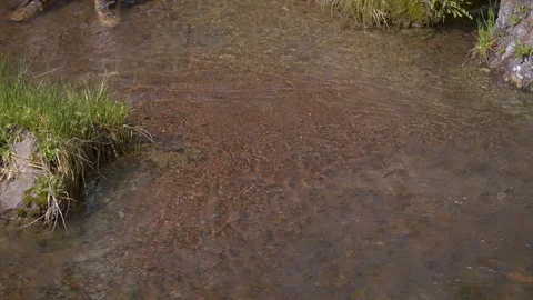 Standing in the Waterfall Runoff Stock Footage 90731147