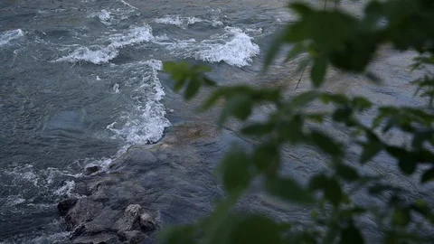Standing wave in a river with leaves in the foreground Video stock 128956397