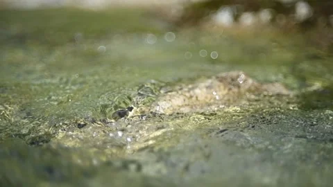 Standing wave from water flowing over a stone on the ground of a mountain stream Stock-Footage 260843549