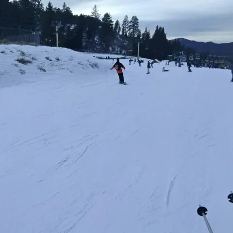 Standing up while skiing Stock Footage 236267870