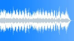 Standing In Your Shadow (WP) 06 Alt5 ( mystery, acoustic, beauty, reflection ) Stock Music