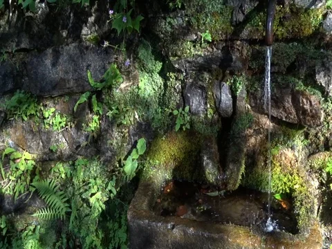 Standpipe into the woods Stock Footage 77572364