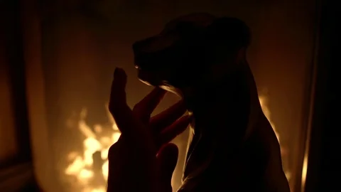 Stands against the background of the fire statuette in the form of a wild cat Vídeos de archivo 105604803