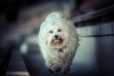 In the stands Stock Photos