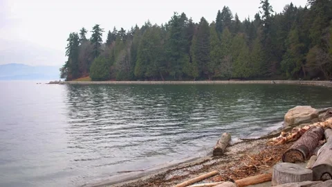 Stanley Park | Vancouver | Canada through My Lens Stock Footage 271084689
