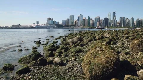 Stanley Park | Vancouver | Canada through My Lens Stock Footage 271087746
