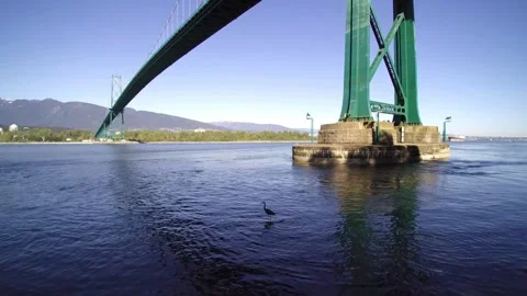 Stanley Park | Vancouver | Canada through My Lens Stock-Footage 271088547