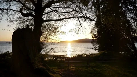 Stanley Park | Vancouver | Canada through My Lens Stock Footage 271089482