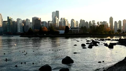 Stanley Park | Vancouver | Canada through My Lens Stock-Footage 271089528