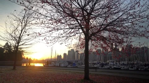 Stanley Park | Vancouver | Canada through My Lens Stock Footage 271090724