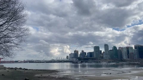 Stanley Park Vancouver Video stock 236900320
