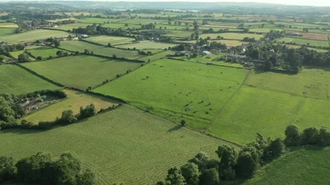 Stanton Drew Stone Circle 4K Rising Landscape Drone Somerset, UK Stock-Footage 162761760