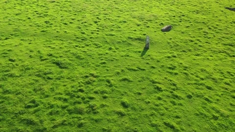 Stanton Drew Stone Circle 4K Drone Close-Up, Somerset, UK Stock Footage 162784308