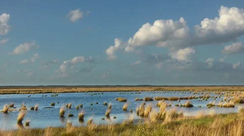 Stapeler bog Stock Footage 6531134