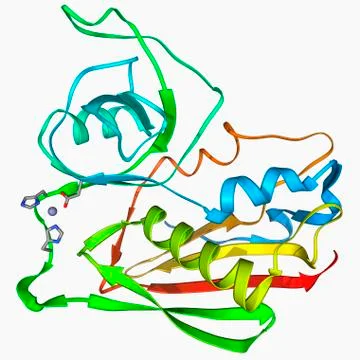 Staphylococcal enterotoxin C2 molecule Illustrazione stock