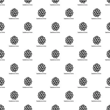 Staphylococcus aureus pattern seamless vector Stock Illustration