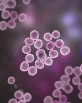 Staphylococcus bacteria, 3D illustration. Ilustração Stock