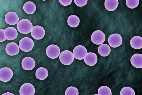 Staphylococcus bacterium microscopic view on surface Illustrazione stock