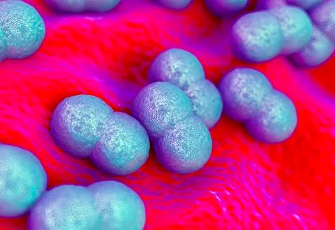 Staphylococcus epidermidis bacteria Illustrazione stock