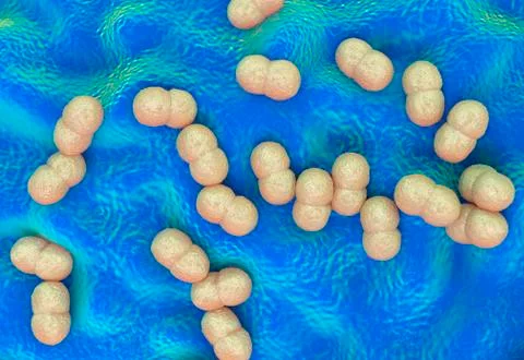 Staphylococcus epidermidis bacteria Ilustração Stock