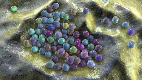 Staphylococcus lugdunensis bacteria, 3D illustration Illustrazione stock