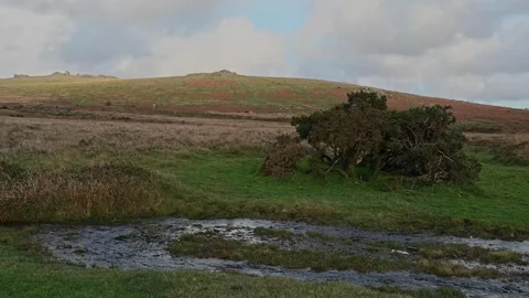 Staple Tors Dartmoor Devon october evening light Stock Footage 254511973