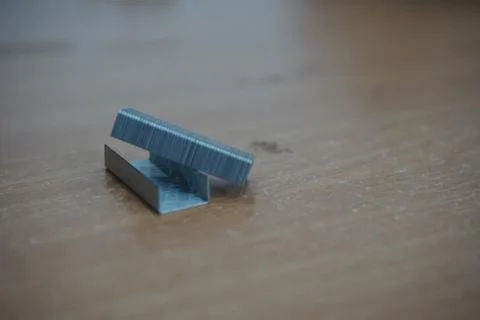 Staple that will be driven by stapler through sheets of paper to fasten them Foto stock