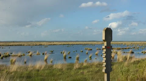 Stapler bog, North West Germany Stock Footage 6530904