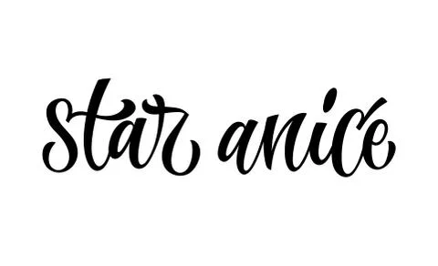 Star anice - vector hand drawn calligraphy style lettering word. Stock Illustration
