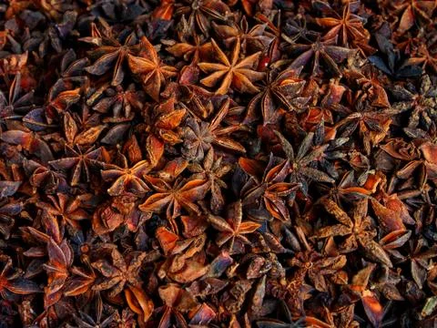 Star Anis Stock Photos