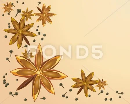 Star anise Stock Illustration
