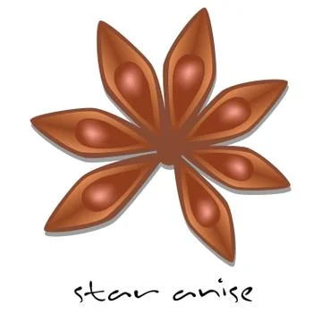 Star anise Stock Illustration
