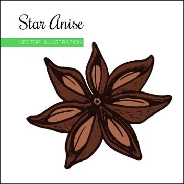  Star Anise  Stock Illustration