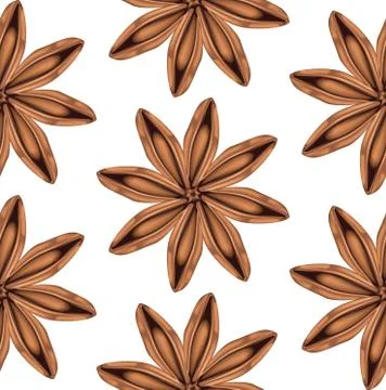 Star of anise Stock Illustration
