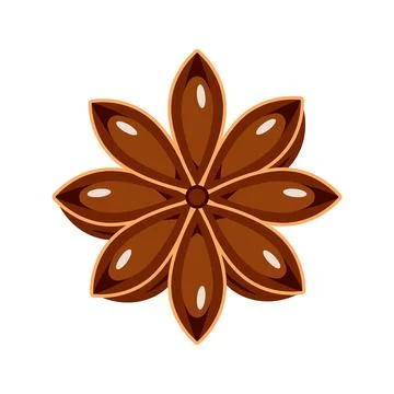 Star anise isolated on a white background. Spices for cooking. Vector Stock Illustration