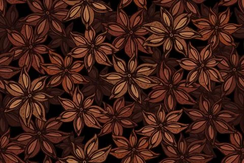 Star anise pattern Stock Illustration