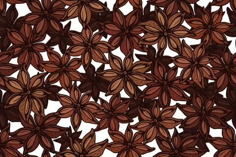 Star anise pattern Stock Illustration