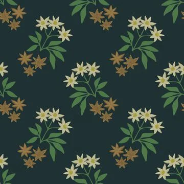 Star anise pattern Stock Illustration