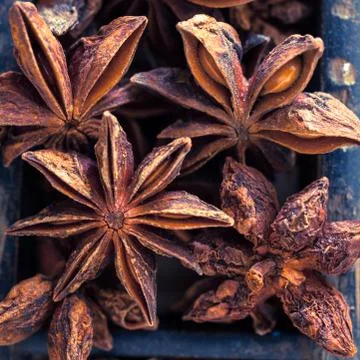 Star anise Stock Photos