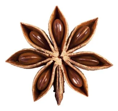Star anise Stock Photos