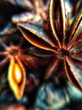 Star Anise Stock Photos